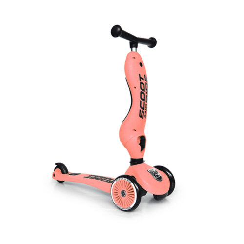 Xe scooter trẻ em Scoot and Ride Highwaykick 1
