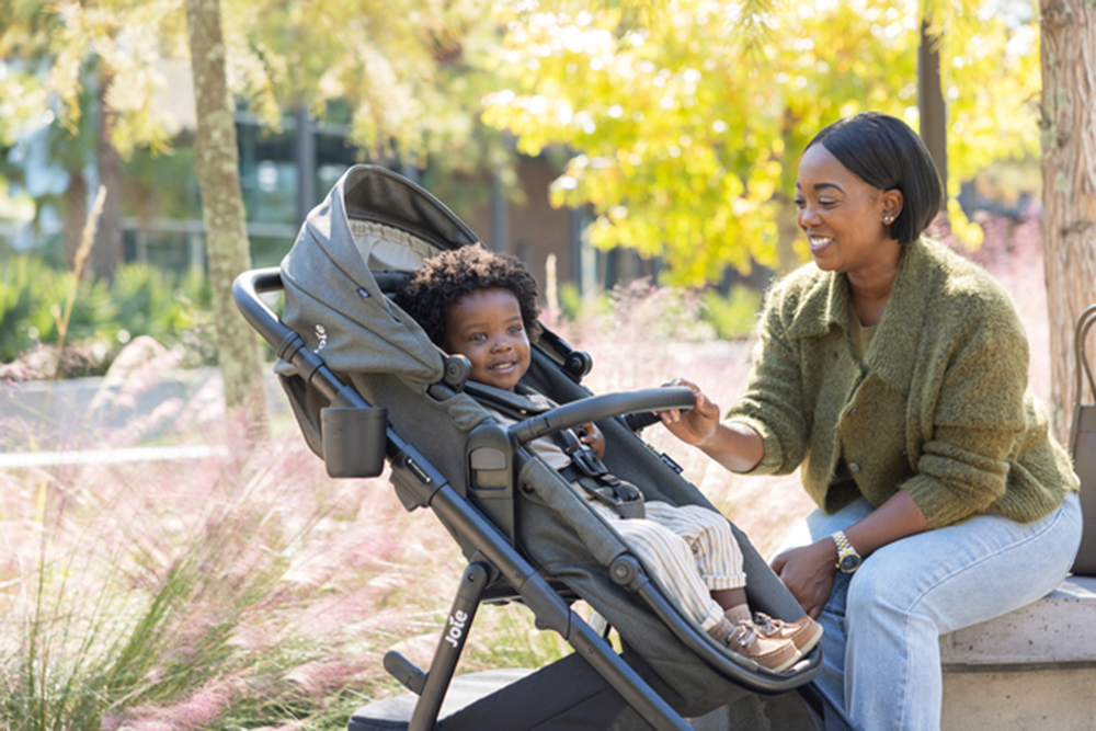 Xe đẩy tích hợp nôi nằm Joie Ginger LX 12 Xe đẩy tích hợp nôi nằm Joie Ginger LX